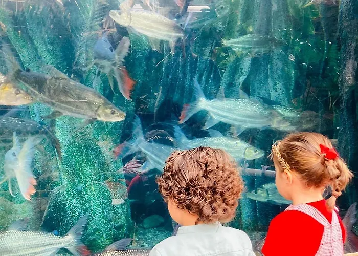 Numancia 1- 2a Lägenhet