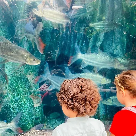 Numancia 1- 2a شقة